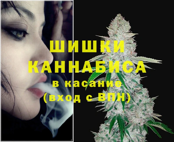 гашик Богородицк
