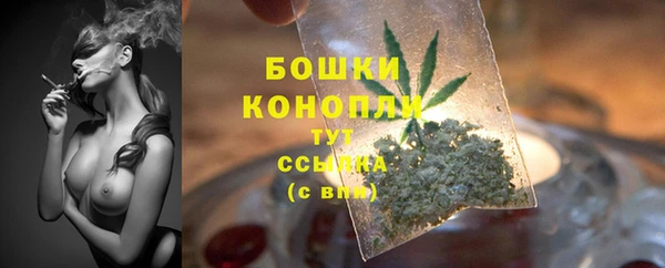 гашик Богородицк