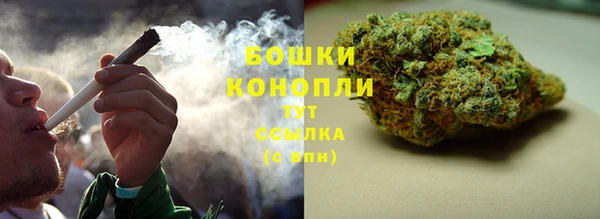 гашик Богородицк