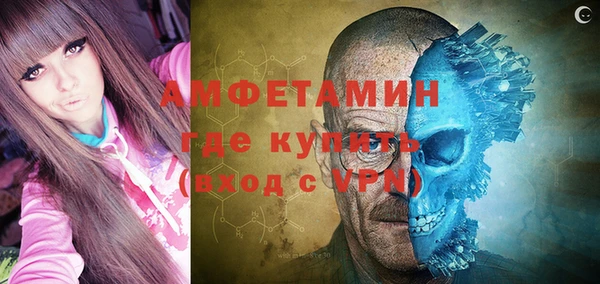 шишки Богородск