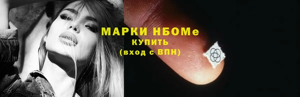 шишки Богородск