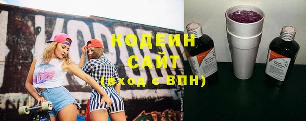 шишки Богородск