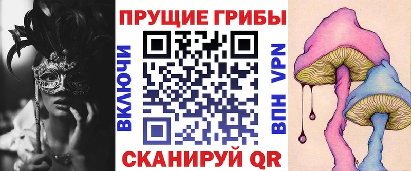 наркота  Нестеров  сайты даркнета наркотические препараты  Галлюциногенные грибы мицелий 