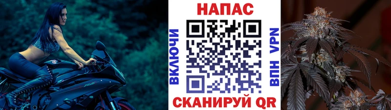 Марихуана конопля  mega онион  Нестеров  наркотики 